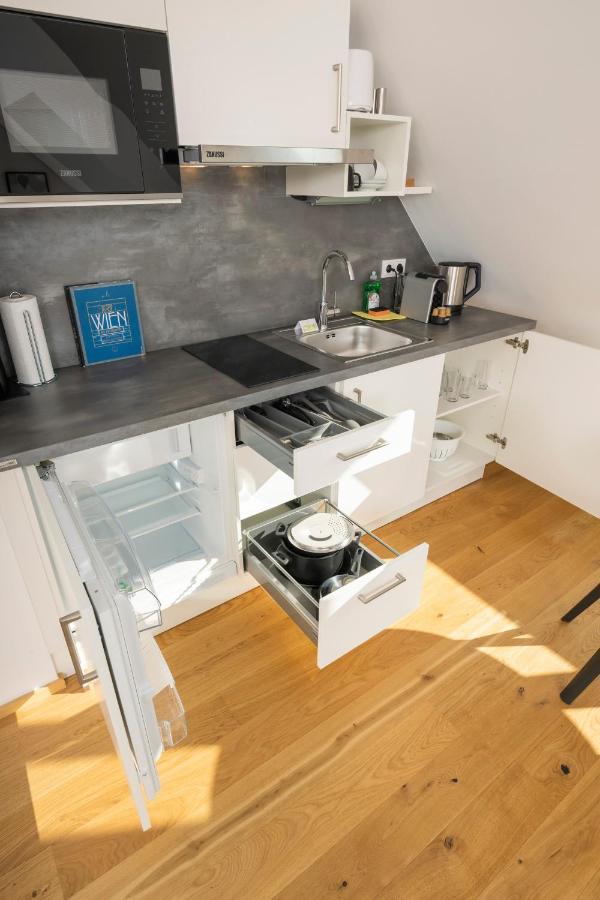 Rooftop Apartments Mit Grosser Terrasse Vienna Luaran gambar